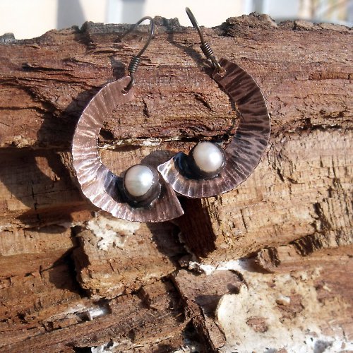 Perotrochus — foto 1