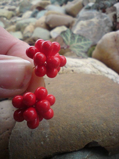 Chirurgická ocel — foto 1