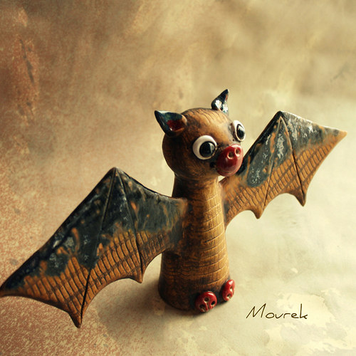 Huhunetopýr — foto 1