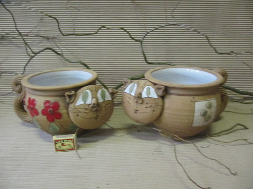 Obal kočka — foto 1