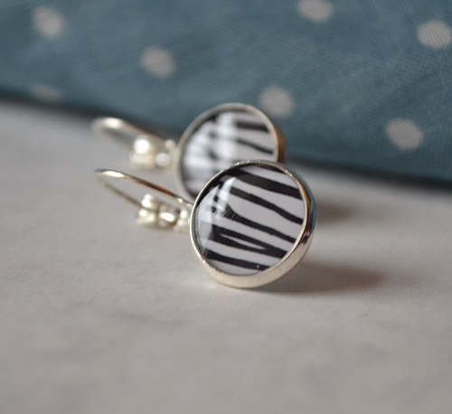 Zebra — foto 1