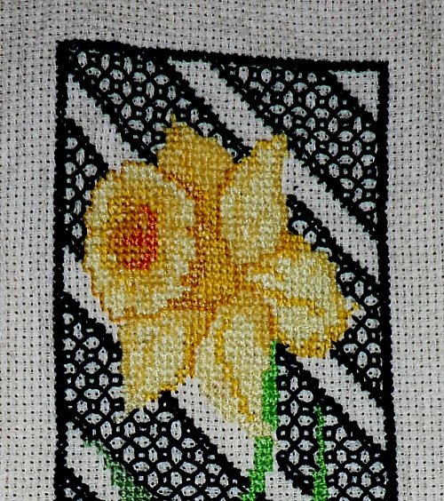 Obrázek-narcis — foto 1