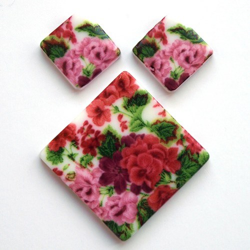 Pelargonie/ 839 — foto 1