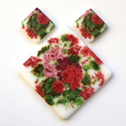 Pelargonie / 850 — foto 1