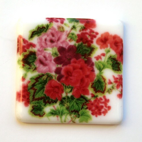 Pelargonie / 851 — foto 1