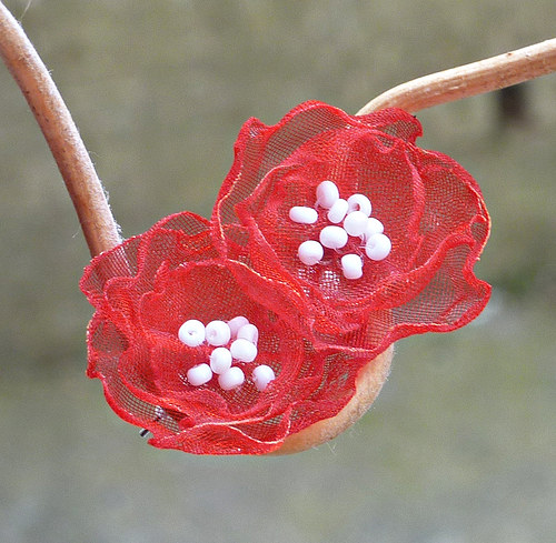 Flowers — foto 1