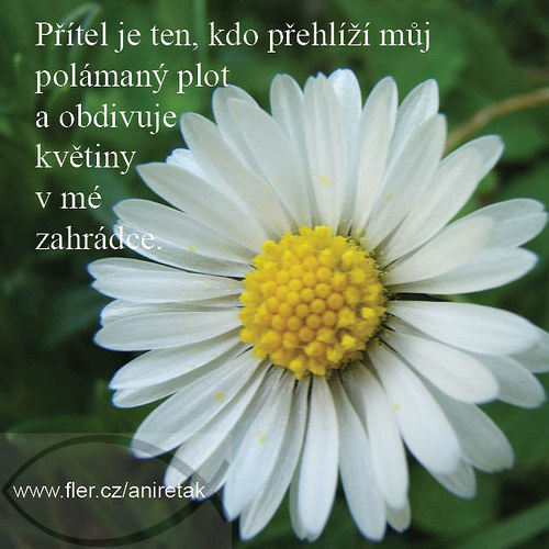 Magnetický obrázek (28) "Přítel je ten, kdo... — foto 1