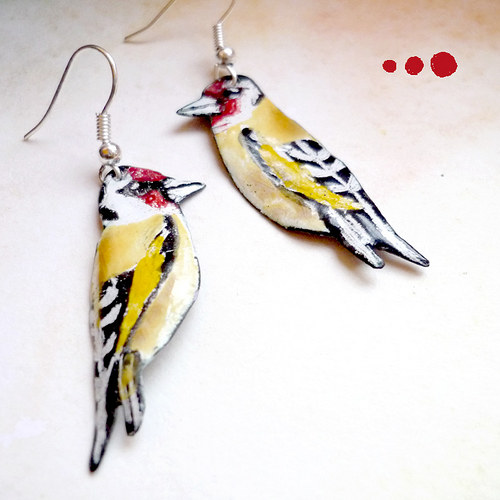 Carduelis carduelis — foto 1