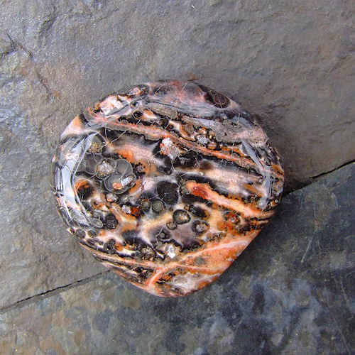 Jaspis Leopardí — foto 1
