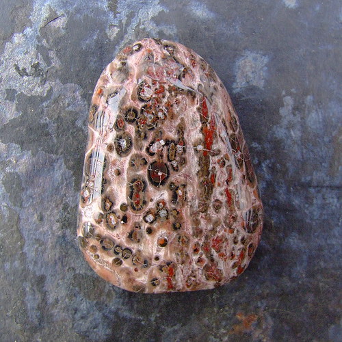 Jaspis Leopardí — foto 1