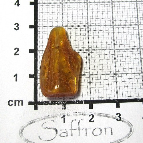 Přírodní Jantar - Litva č.8 — foto 1