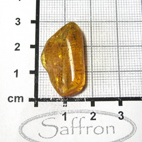 Přírodní Jantar - Litva č.9 — foto 1