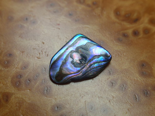 Paua perleť — foto 1