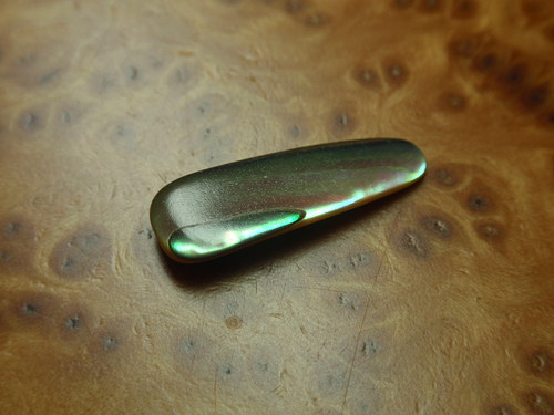 Paua perleť — foto 1