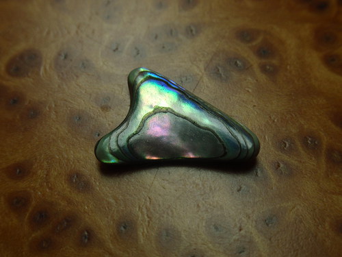 Paua perleť — foto 1