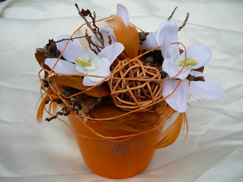 Jarní s orchidejkou — foto 1