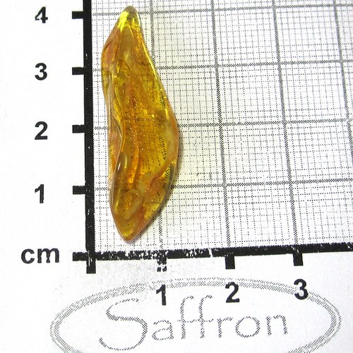 Přírodní Jantar - Litva č.007 — foto 1