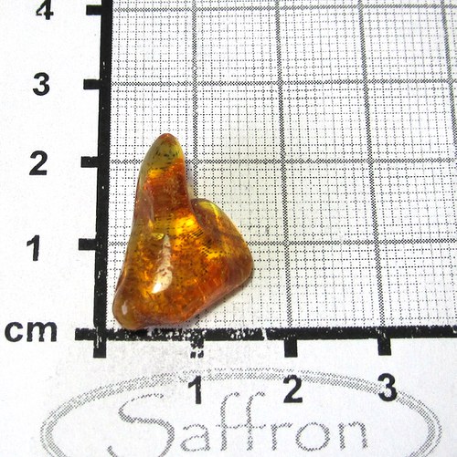 Přírodní Jantar - Litva č.0012 — foto 1