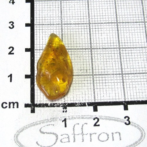 Přírodní Jantar - Litva č.0013 — foto 1