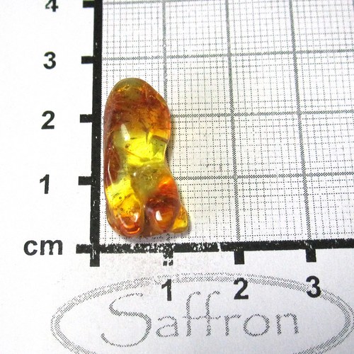 Přírodní Jantar - Litva č.0015 — foto 1