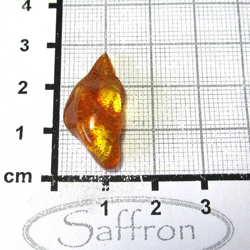 Přírodní Jantar - Litva č.0022 — foto 1
