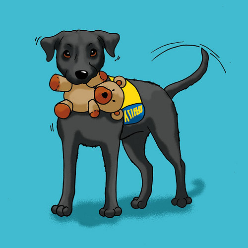 Labradorka Maggie na přání — foto 1