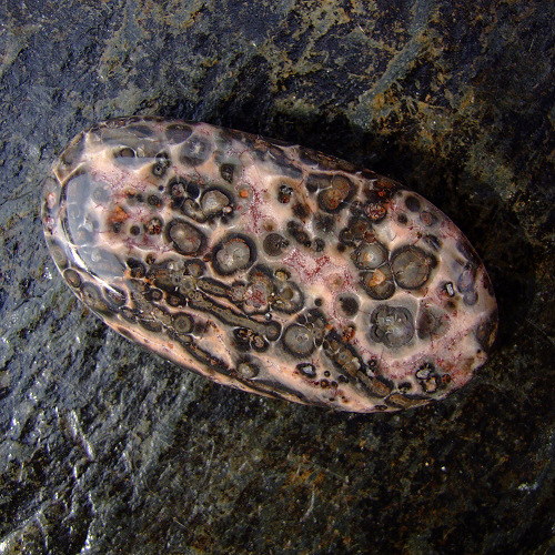 Jaspis Leopardí — foto 1