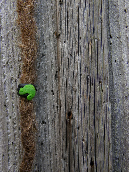 Chamík — foto 1