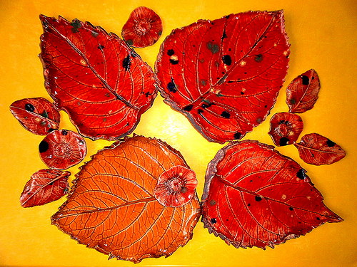 List na cokoli.... — foto 1
