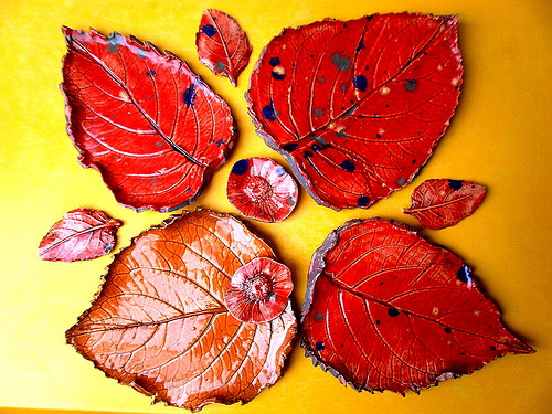 List na cokoli.... — foto 1