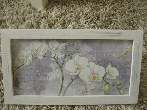 Orchidej — foto 1