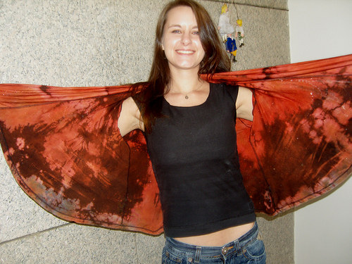 Křídla motýlí — foto 1