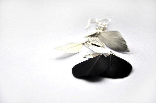 DolkaBlackBird. — foto 1