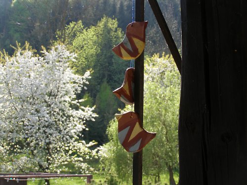 Ptáčí zvonkohra — foto 1