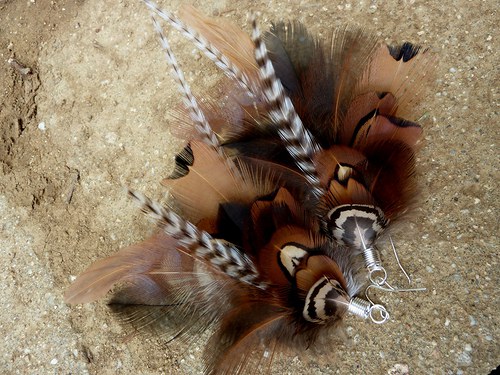 Natural pheasant — foto 1