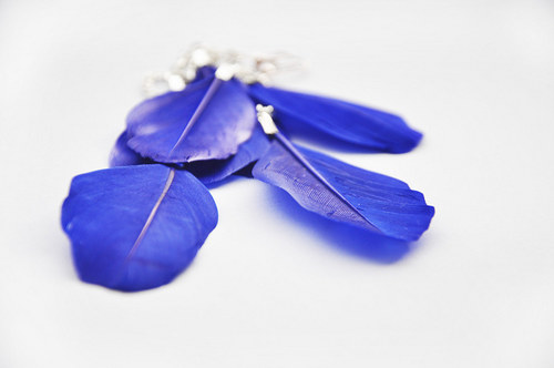 BlueBird. for Dolka — foto 1