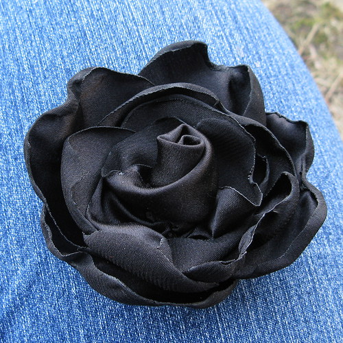 Černá růže — foto 1