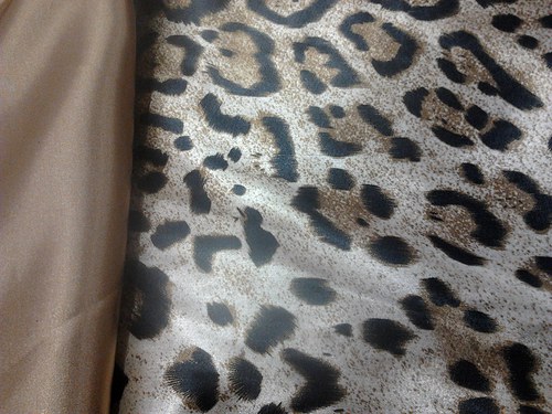 Leopard — foto 1
