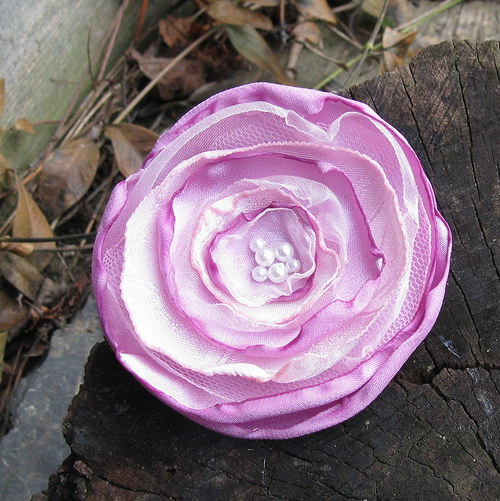 Růžovofialková — foto 1