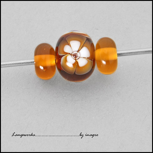 Caramell sada 6 — foto 1