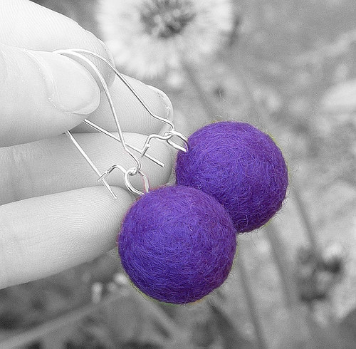 Borůvkové — foto 1