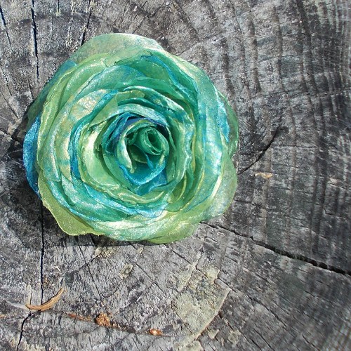 Where the wild roses grow .... — foto 1