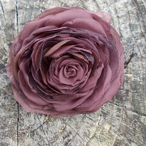 Where the wild roses grow .... — foto 1