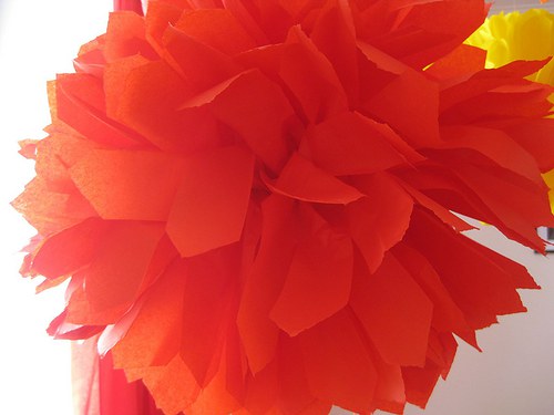 Pom poms na přání — foto 1