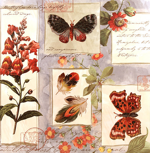 Scrapbooková čtvrtka — foto 1