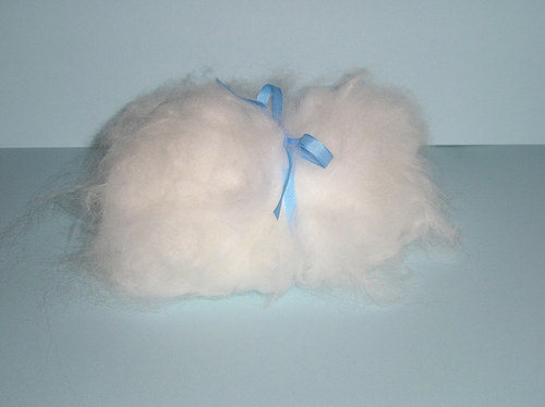 Angora bílá — foto 1