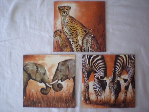 Safari — foto 1