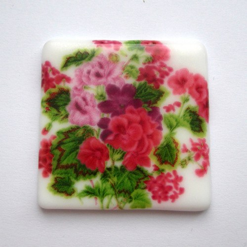 Pelargonie / 373a — foto 1