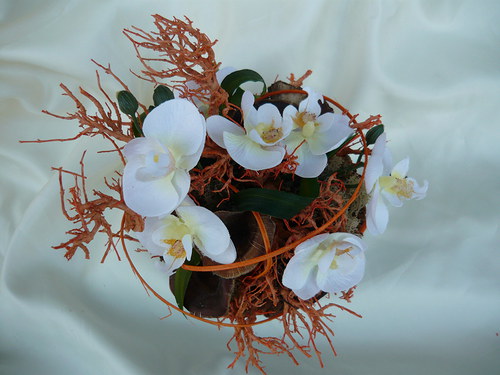 Orchidea v košíku — foto 1