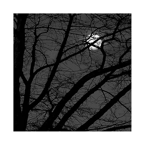 Papír Foll Moon — foto 1